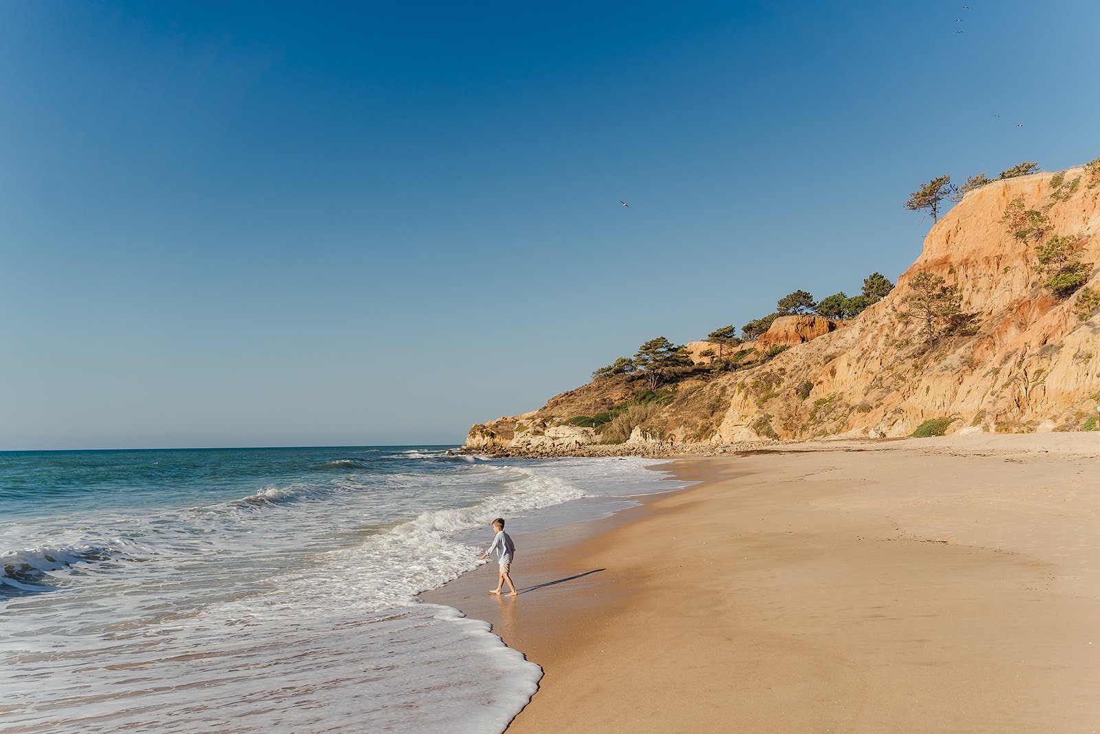 Praia da Falésia, Albufeira for family photography