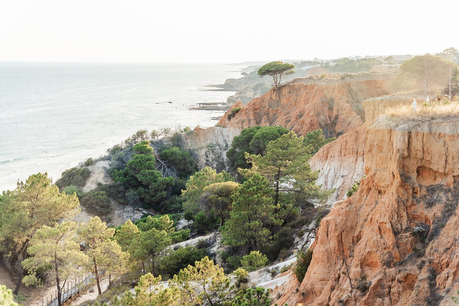 Clifftop wooden walkway at Pine Cliffs Resort overlooking Praia da Falésia